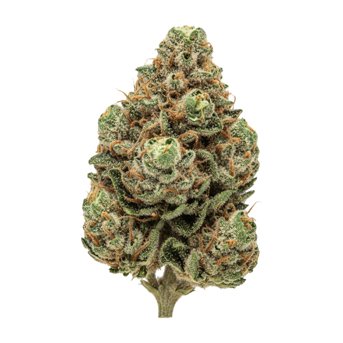 KI-generierte Illustration einer Cannabisblüte, zeigt nicht die tatsächliche Charge – Budza 24/1 WRZ "White Runtz"