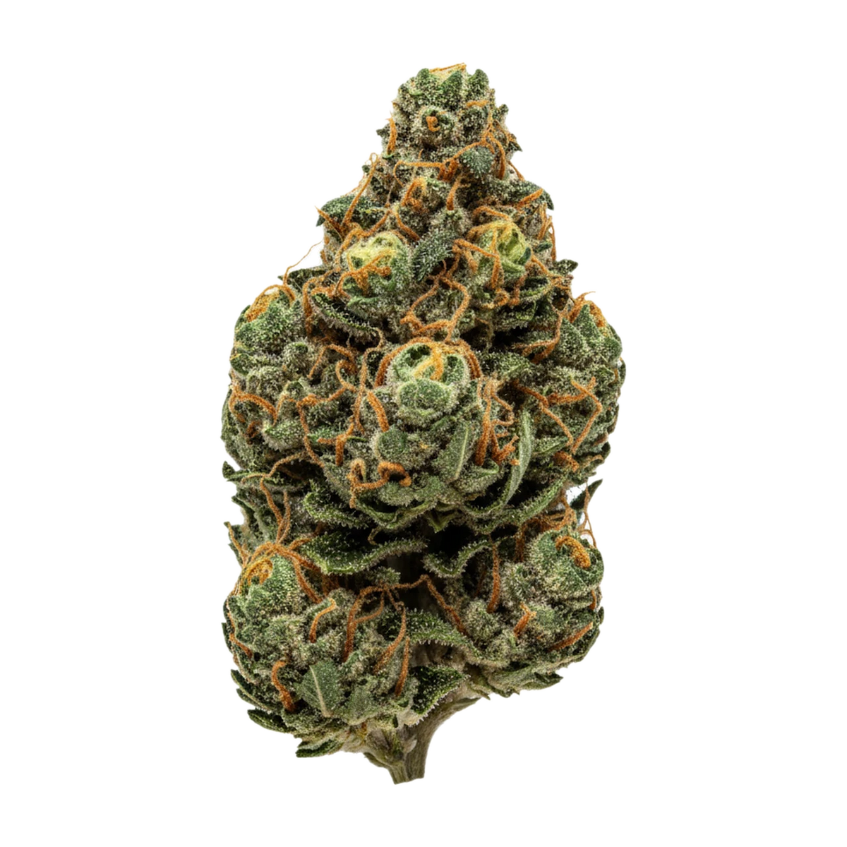 KI-generierte Illustration einer Cannabisblüte, zeigt nicht die tatsächliche Charge – Cannamedical Balanced Classic 6/10 Cali-O "California Orange"