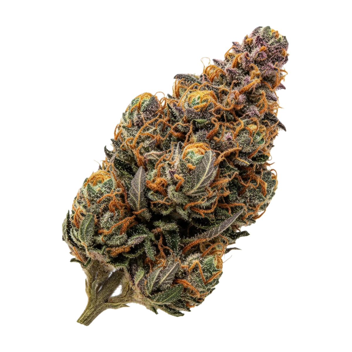 KI-generierte Illustration einer Cannabisblüte, zeigt nicht die tatsächliche Charge – Cannamedical Balanced Forte 8/13 "Mango Haze"