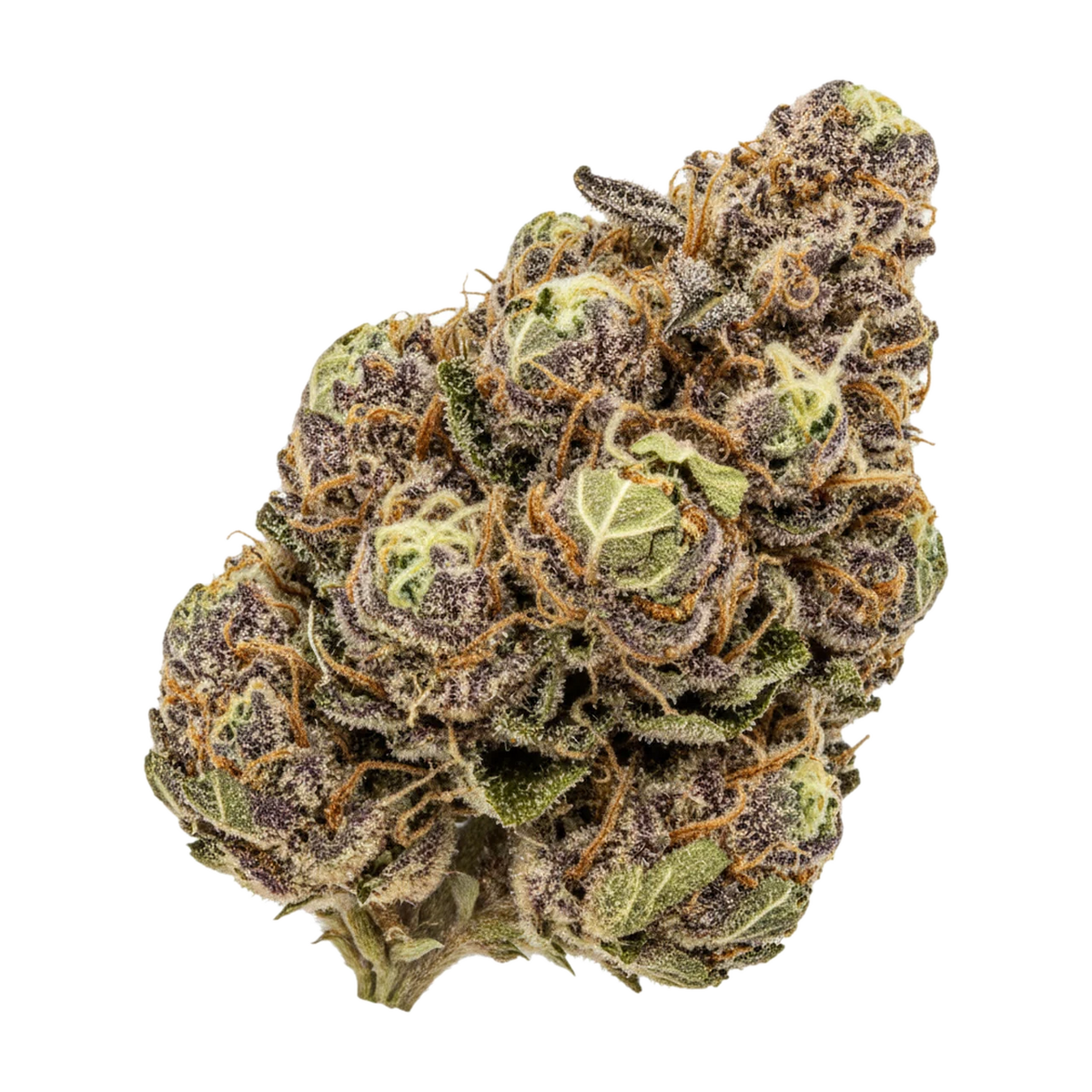KI-generierte Illustration einer Cannabisblüte, zeigt nicht die tatsächliche Charge – Cannamedical CM 32/1 SRK "Sour Kush"
