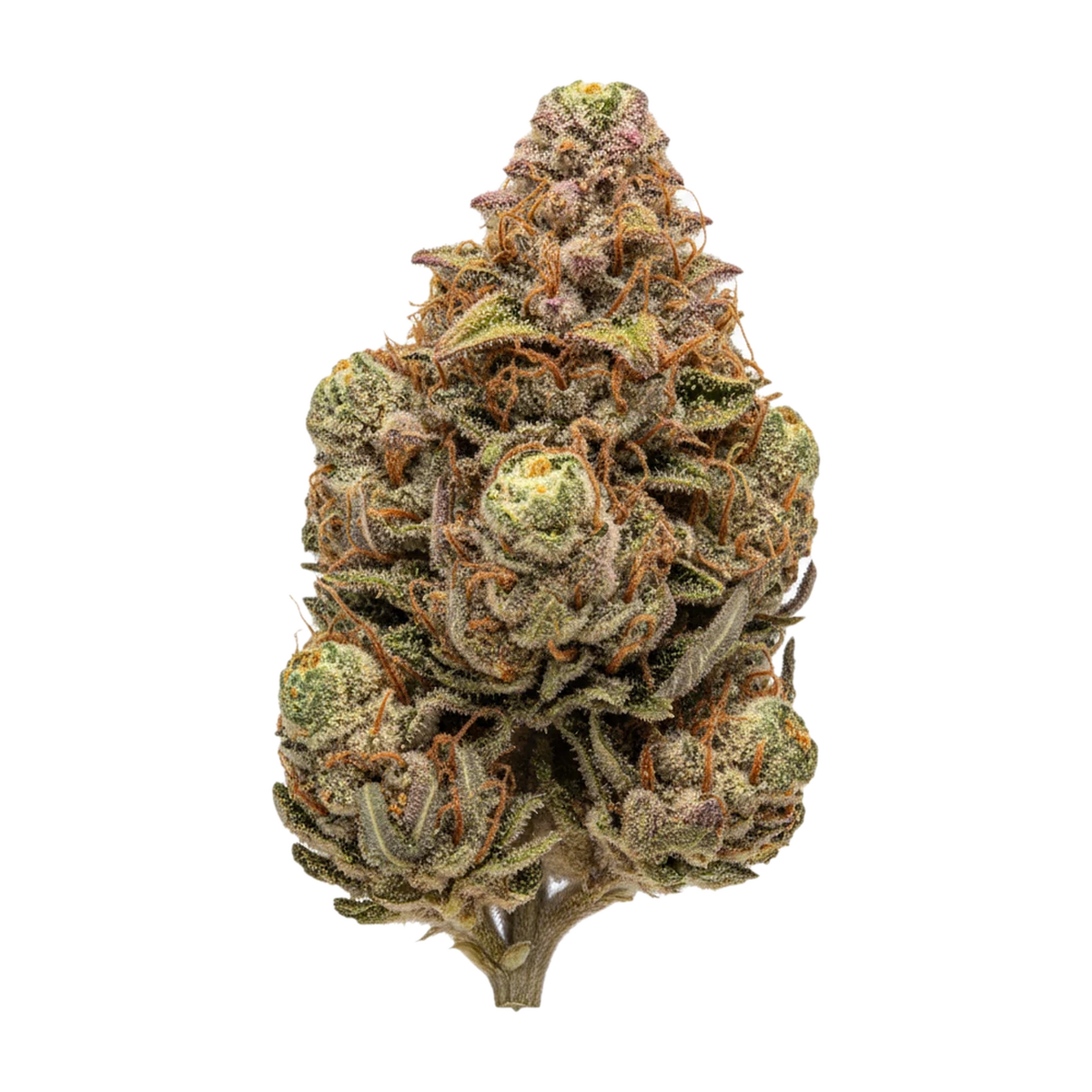 KI-generierte Illustration einer Cannabisblüte, zeigt nicht die tatsächliche Charge – Cannamedical Hybrid Forte 24/1 "Citral Pop"