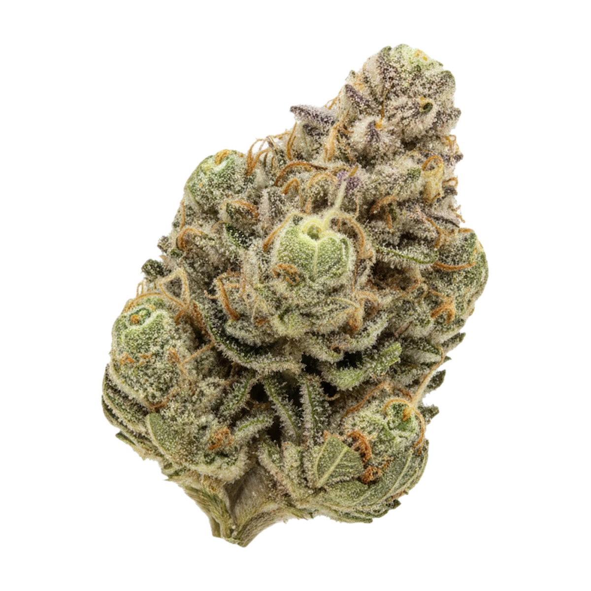 KI-generierte Illustration einer Cannabisblüte, zeigt nicht die tatsächliche Charge – Cannamedical Indica "LA Kush Cake"