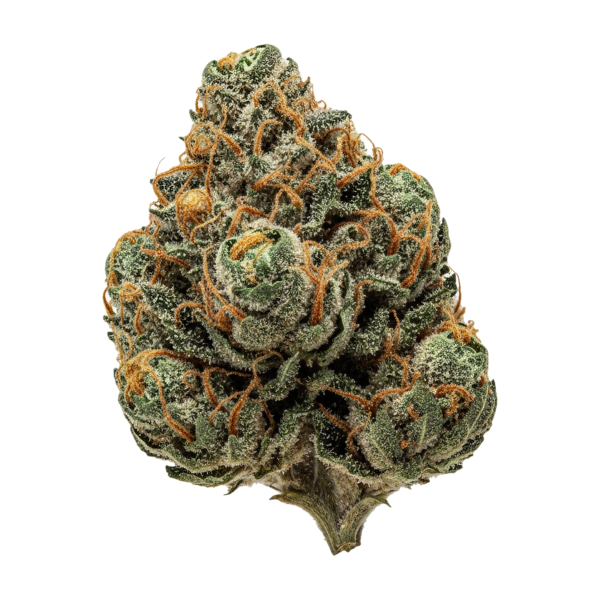 KI-generierte Illustration einer Cannabisblüte, zeigt nicht die tatsächliche Charge – Cannamedical Indica Forte SM 25/1 "Sunset Serenity"