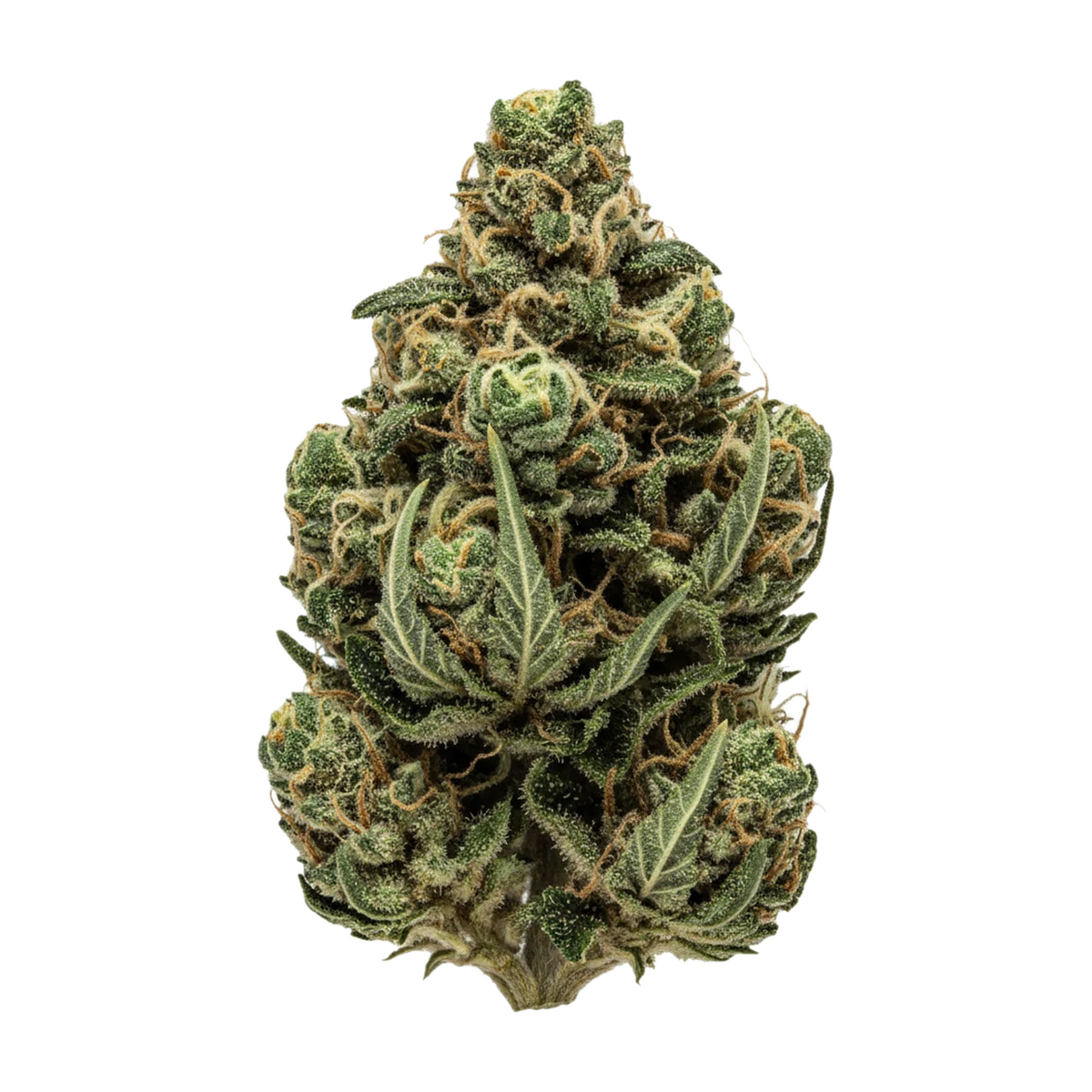 KI-generierte Illustration einer Cannabisblüte, zeigt nicht die tatsächliche Charge – Cannamedical Indica Light ZAF 15/1 "Tropical Cream Cake"