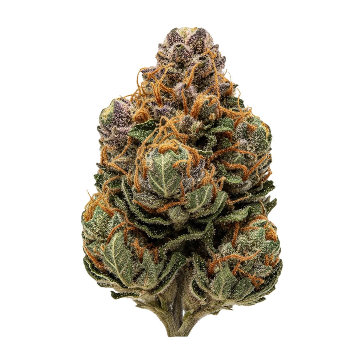 KI-generierte Illustration einer Cannabisblüte, zeigt nicht die tatsächliche Charge – Cannamedical Indica Light ZAF 18/1 "Strawberry Lemonade"