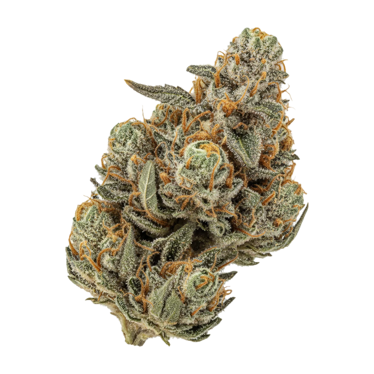 KI-generierte Illustration einer Cannabisblüte, zeigt nicht die tatsächliche Charge – Cannamedical Indica Ultra SM 28/1 "Mintwave"