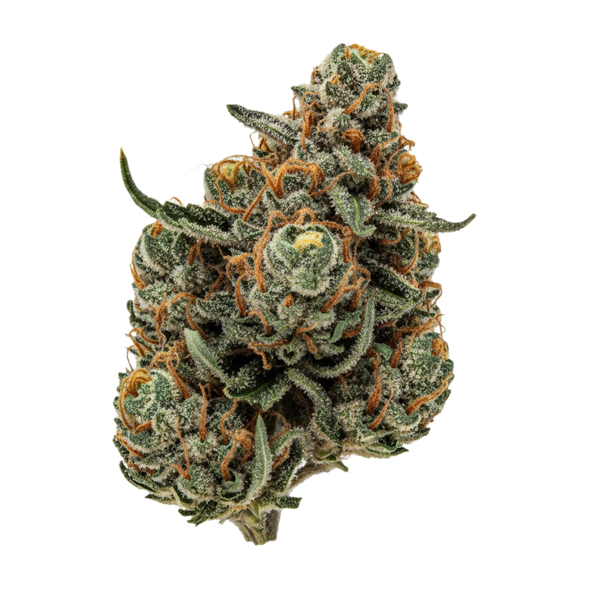 KI-generierte Illustration einer Cannabisblüte, zeigt nicht die tatsächliche Charge – Cannamedicial Indica "Gelat Skyfloater"