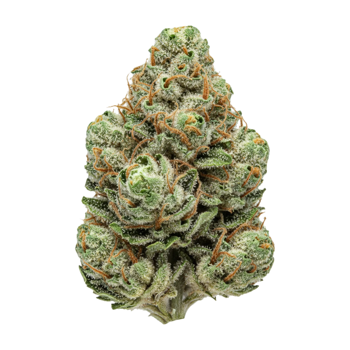 KI-generierte Illustration einer Cannabisblüte, zeigt nicht die tatsächliche Charge – Cannamedicial Indica Forte DK 24/1 "Sky Berry Kush"