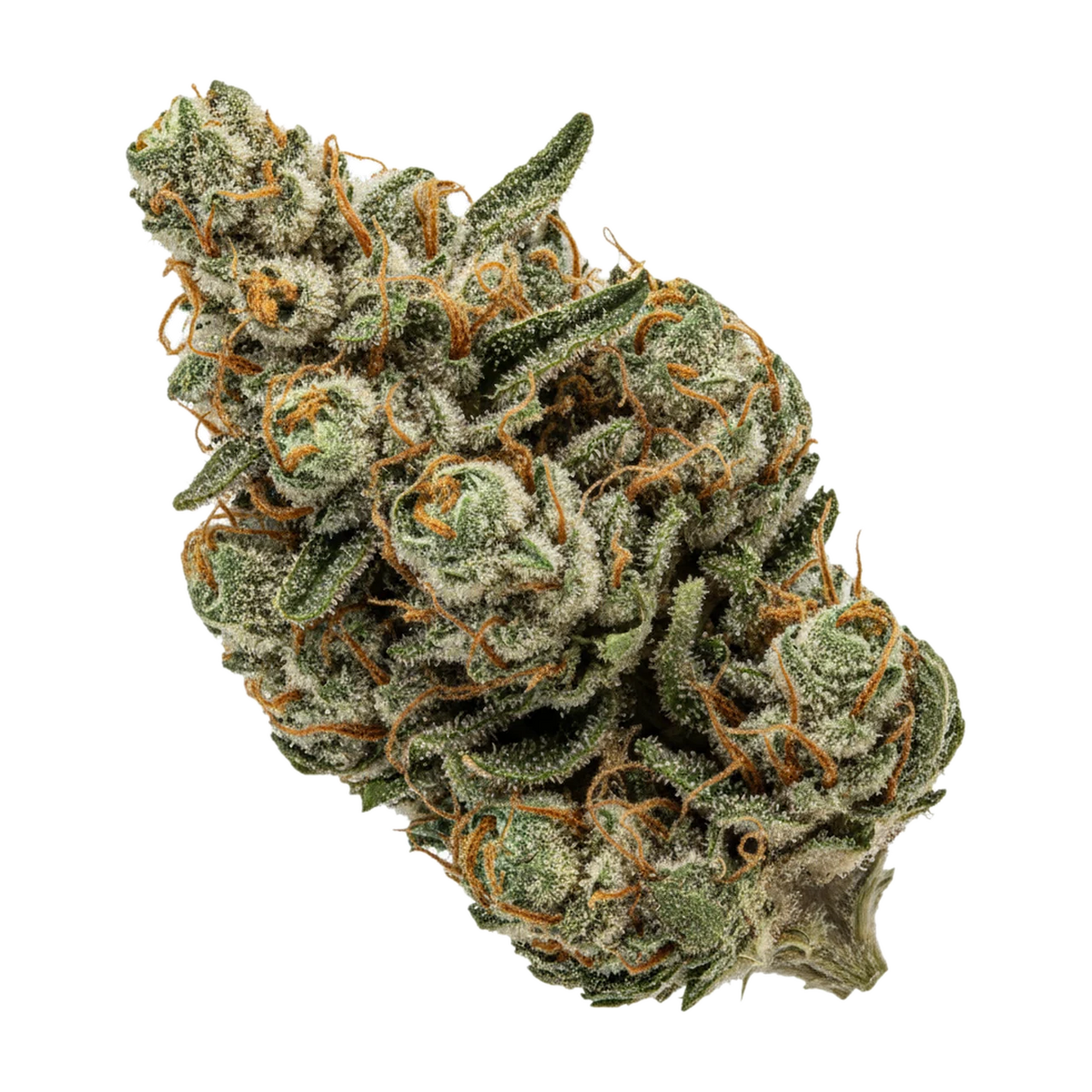 KI-generierte Illustration einer Cannabisblüte, zeigt nicht die tatsächliche Charge – Cantourage MAC 1+ 25/1 "Miracle Alien Cookies"