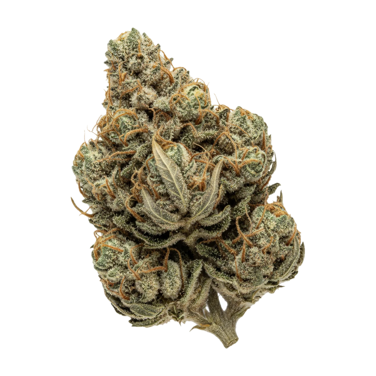 KI-generierte Illustration einer Cannabisblüte, zeigt nicht die tatsächliche Charge – Curaleaf Natural 25/1 LVC "Lavender Cake"