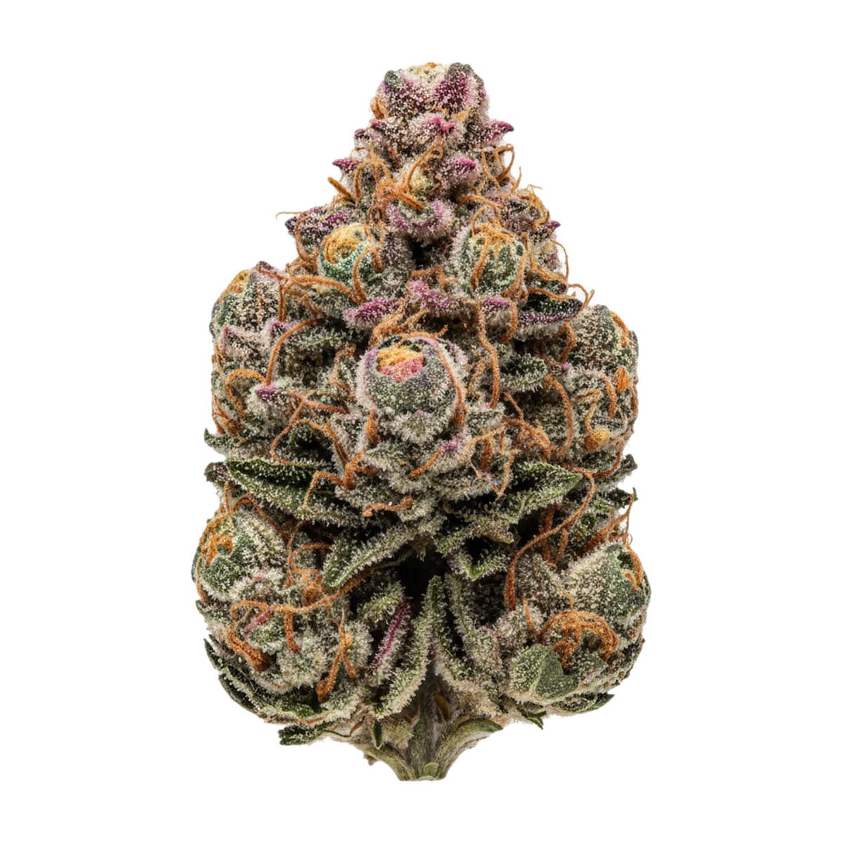 KI-generierte Illustration einer Cannabisblüte, zeigt nicht die tatsächliche Charge – DEMECAN BB Regular Drop 25/1 "Prodigy"
