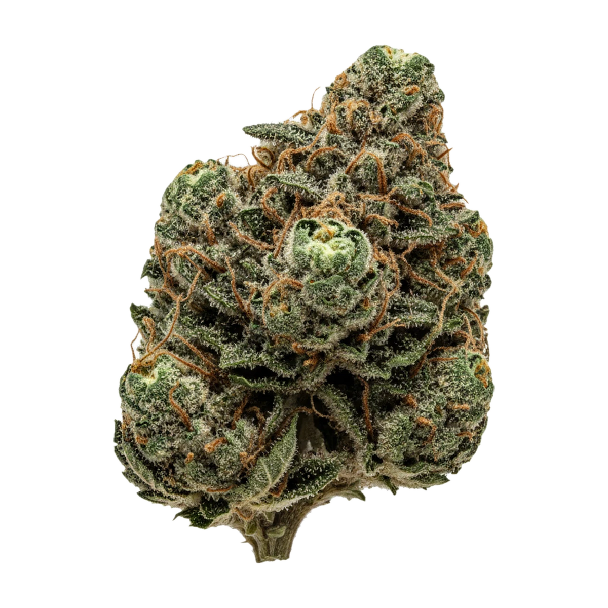 KI-generierte Illustration einer Cannabisblüte, zeigt nicht die tatsächliche Charge – DEMECAN BPG Lean Drop 22/1 "Big Red Beard"