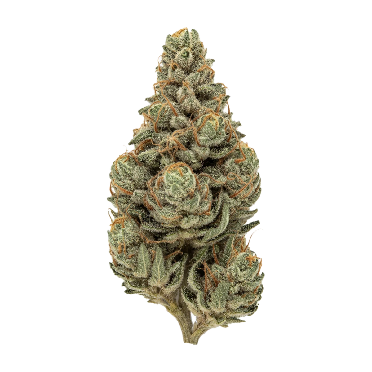 KI-generierte Illustration einer Cannabisblüte, zeigt nicht die tatsächliche Charge – DEMECAN Core Banana 22/1 "Banana Milkshake"