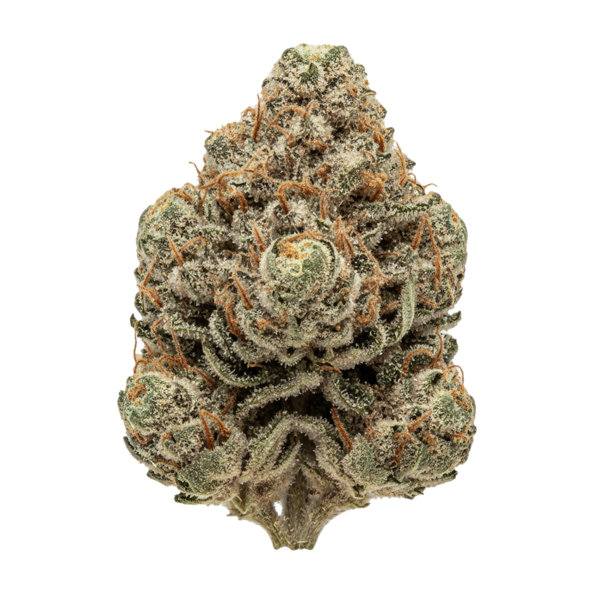 KI-generierte Illustration einer Cannabisblüte, zeigt nicht die tatsächliche Charge – DEMECAN Core JM7 "Jelly Mints"
