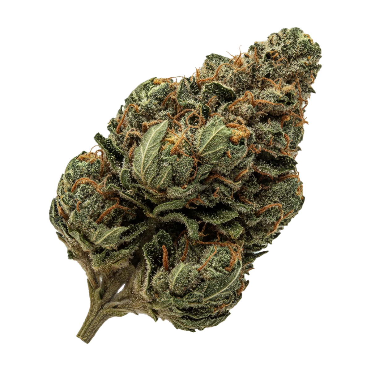 KI-generierte Illustration einer Cannabisblüte, zeigt nicht die tatsächliche Charge – DEMECAN Core Limez 21/1 "LimeZ"