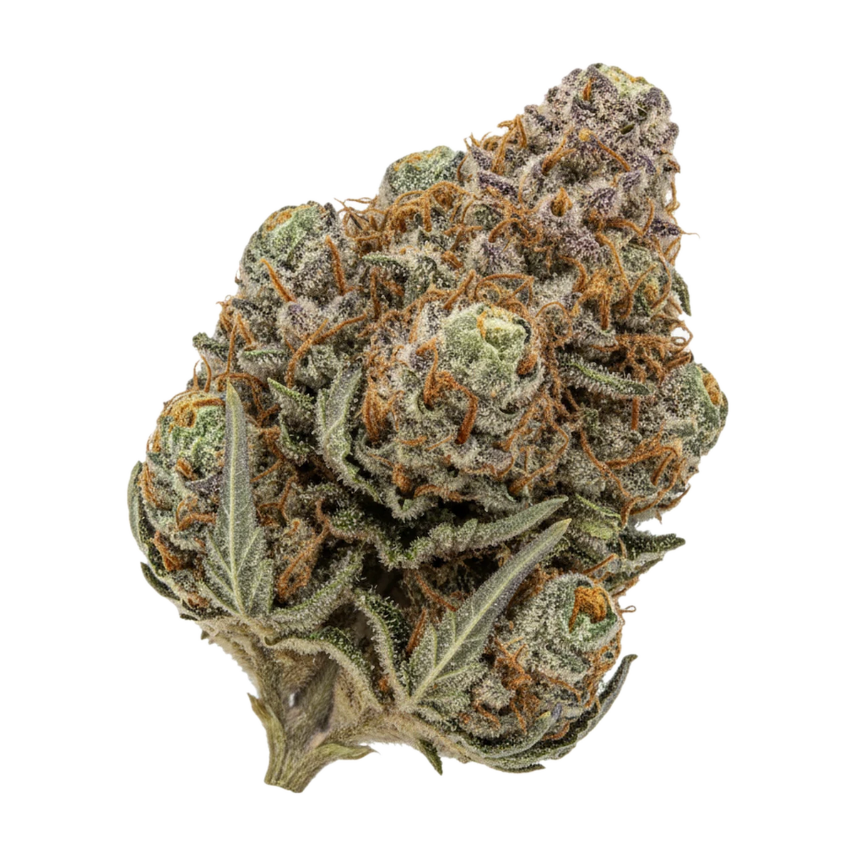 KI-generierte Illustration einer Cannabisblüte, zeigt nicht die tatsächliche Charge – DEMECAN Craft Aloha 31/1 "98 Aloha WW x Trainwreck"