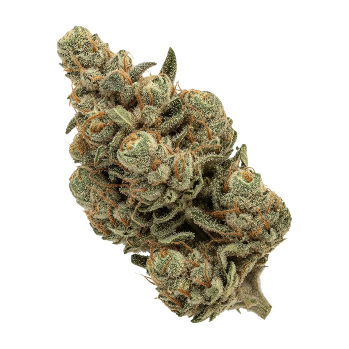 KI-generierte Illustration einer Cannabisblüte, zeigt nicht die tatsächliche Charge – DEMECAN Craft Emerald 27/1 "GMO x Gush Mints"