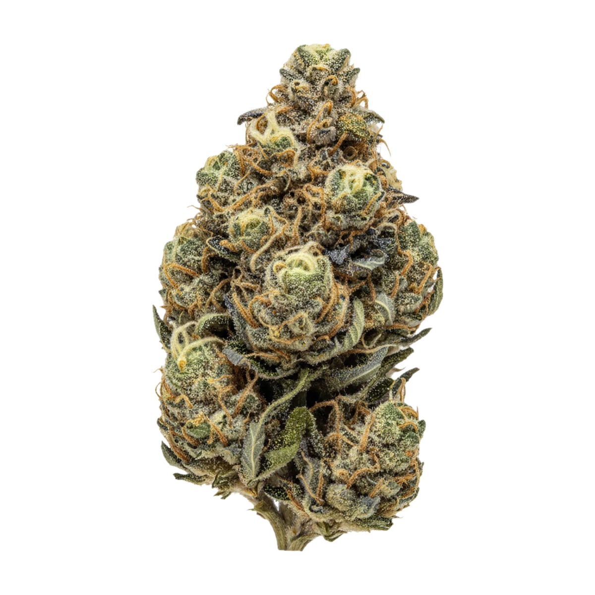 KI-generierte Illustration einer Cannabisblüte, zeigt nicht die tatsächliche Charge – DEMECAN Craft FCF 30/1 "First Class Funk"