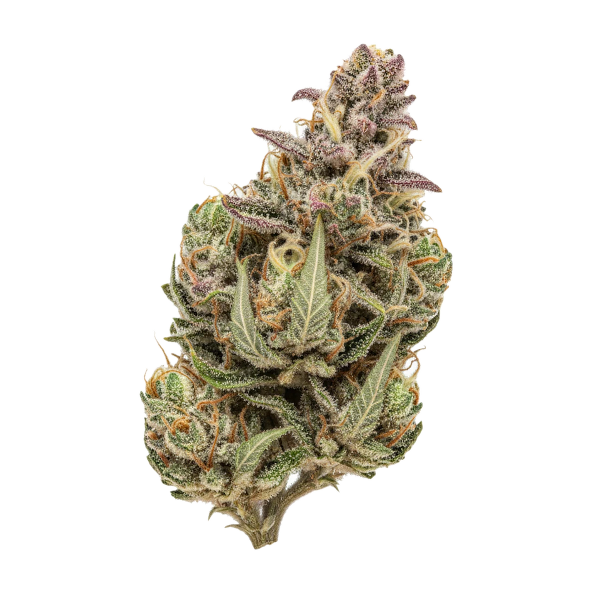 KI-generierte Illustration einer Cannabisblüte, zeigt nicht die tatsächliche Charge – DEMECAN Craft Pineapple 30/1 "Pineapple Bang"