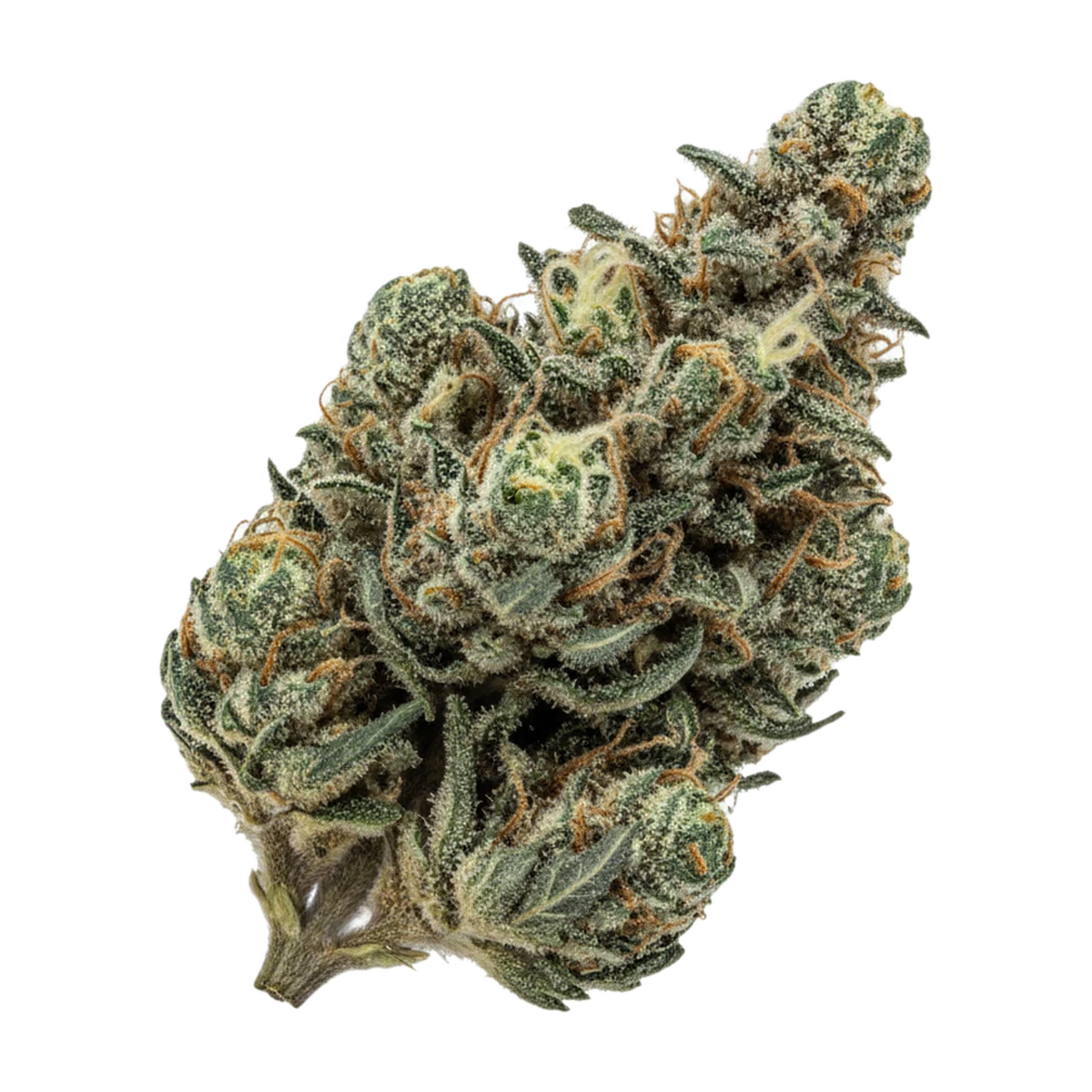 KI-generierte Illustration einer Cannabisblüte, zeigt nicht die tatsächliche Charge – DEMECAN Craft Velvet 30/1 "Velvet Jungle"