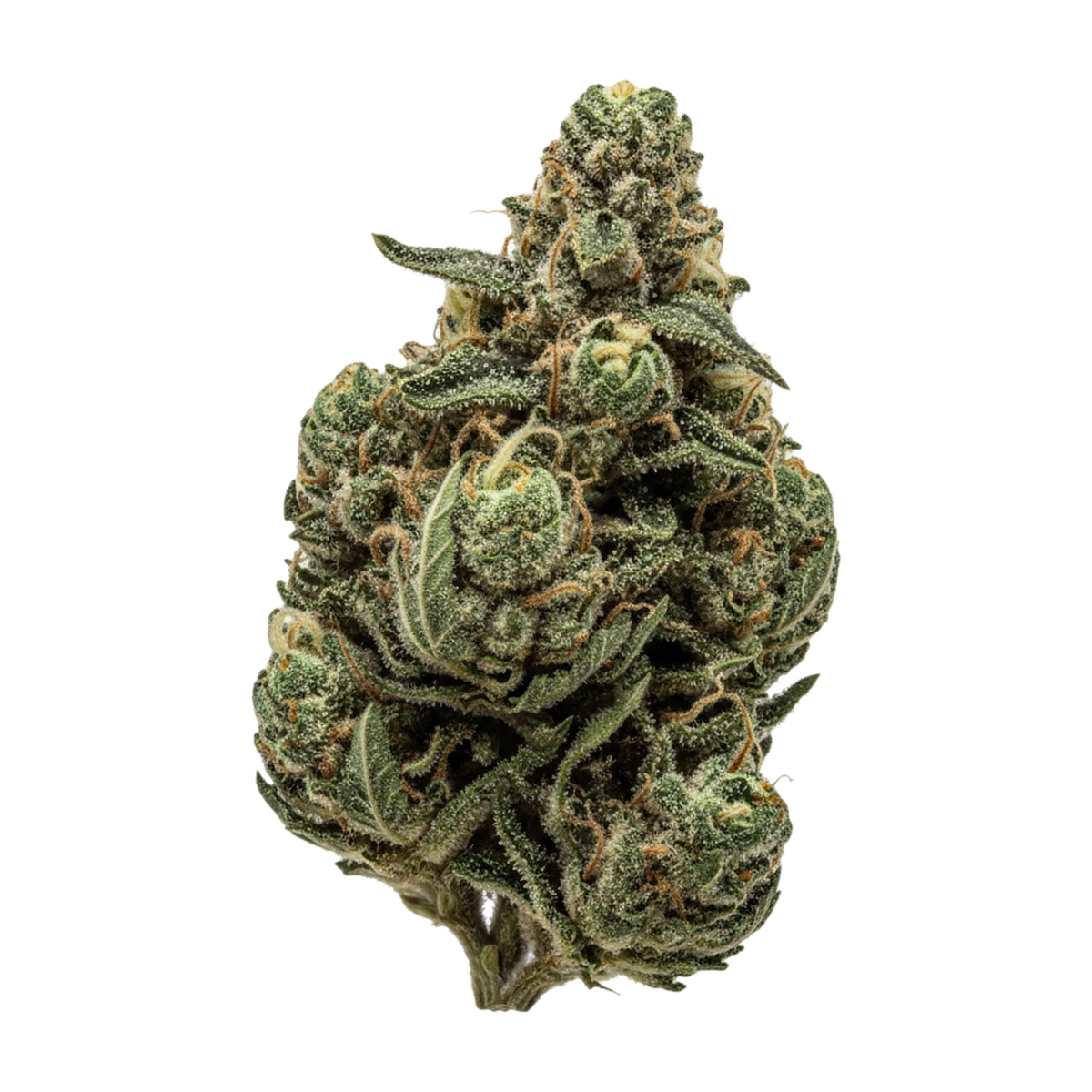 KI-generierte Illustration einer Cannabisblüte, zeigt nicht die tatsächliche Charge – DEMECAN DROP MC Regular 25/1 "Divorce Cake x Jungle Cake"