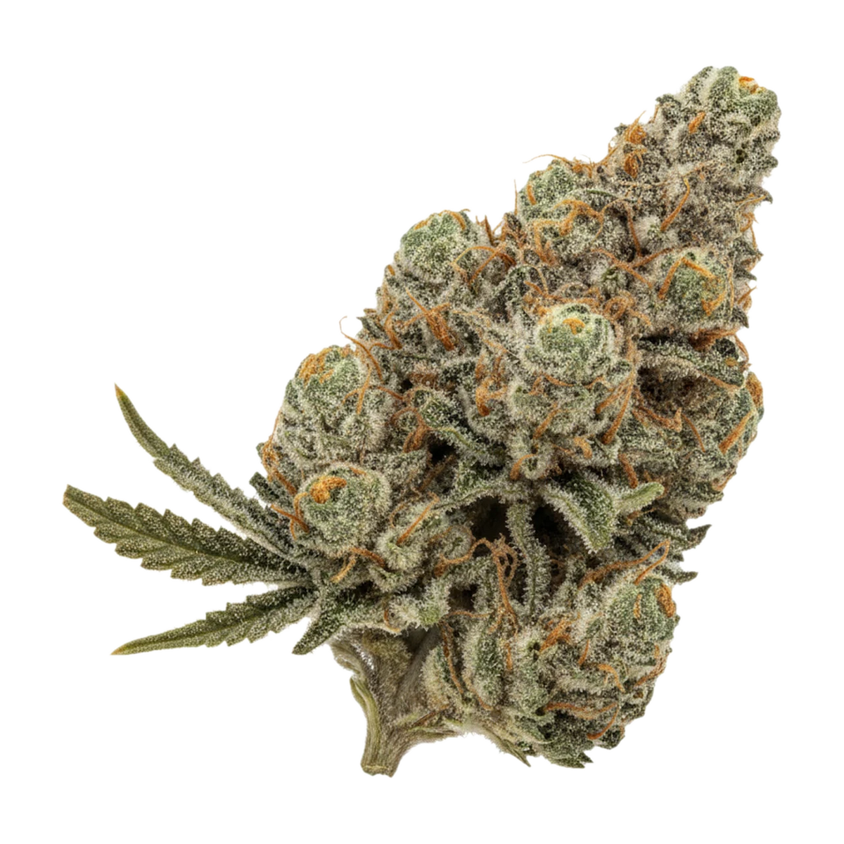 KI-generierte Illustration einer Cannabisblüte, zeigt nicht die tatsächliche Charge – DEMECAN Epic Drop 30/1 "Gush Mints"