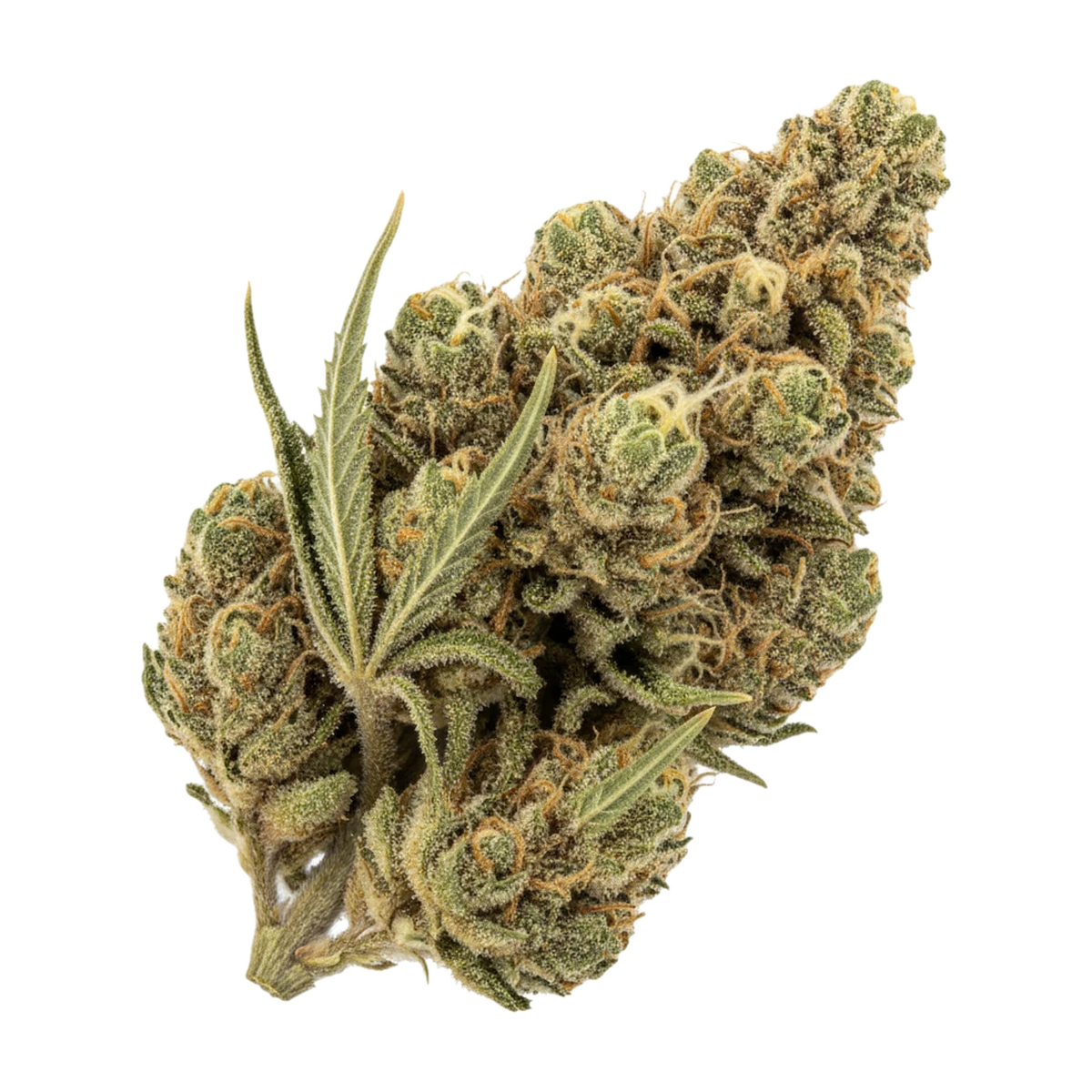 KI-generierte Illustration einer Cannabisblüte, zeigt nicht die tatsächliche Charge – DEMECAN MC Regular Drop 25/1 "GMO x Jet Fuel Gelato"