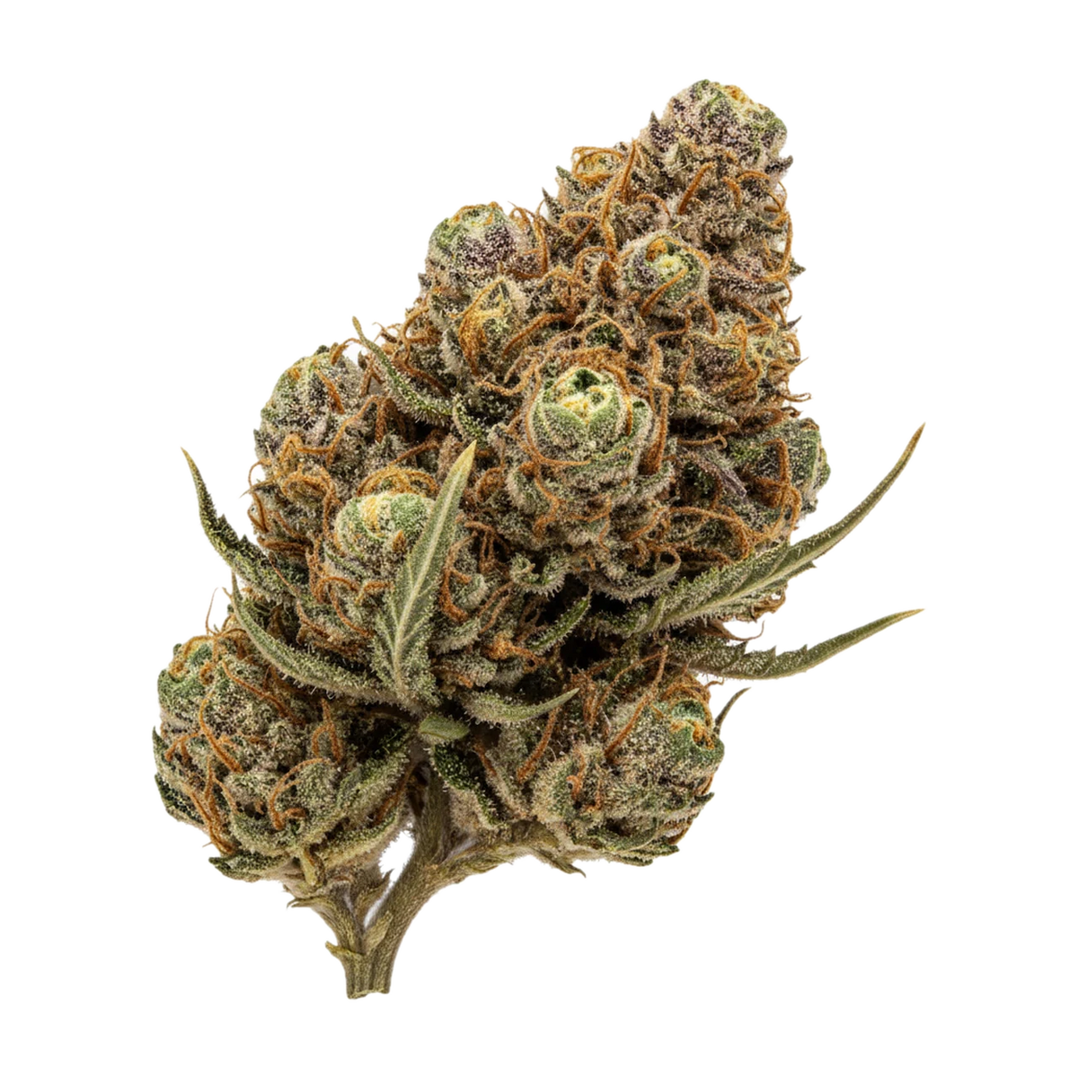 KI-generierte Illustration einer Cannabisblüte, zeigt nicht die tatsächliche Charge – DEMECAN PS Lean Drop 22/1 "Boss OG"