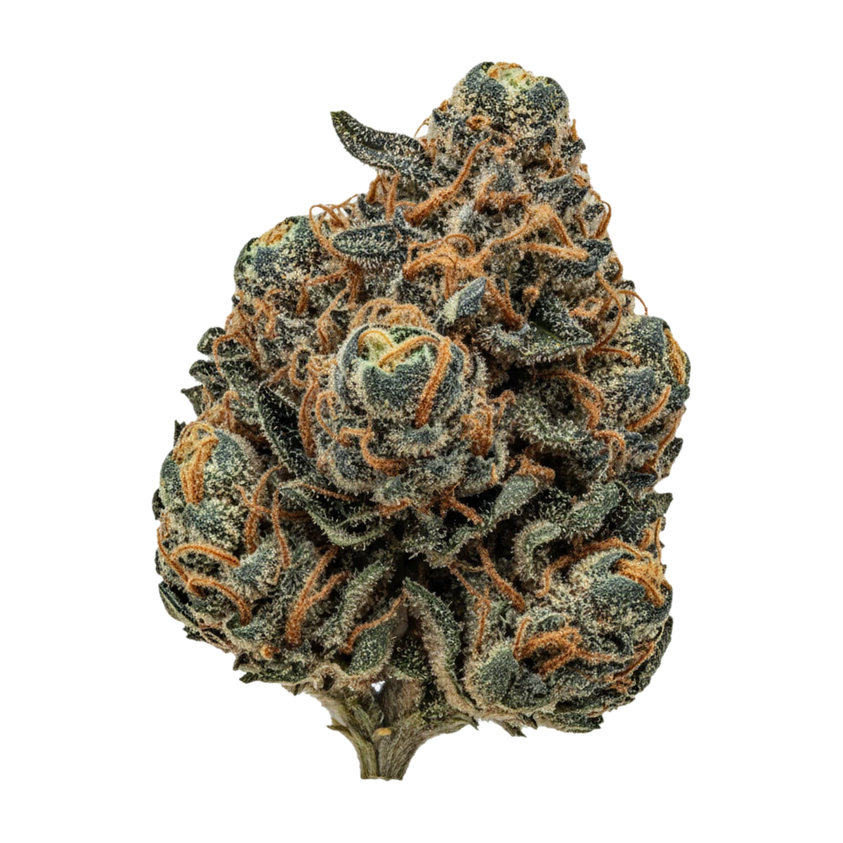 KI-generierte Illustration einer Cannabisblüte, zeigt nicht die tatsächliche Charge – Siggis HBLT 22/1 "Holunderblüte"