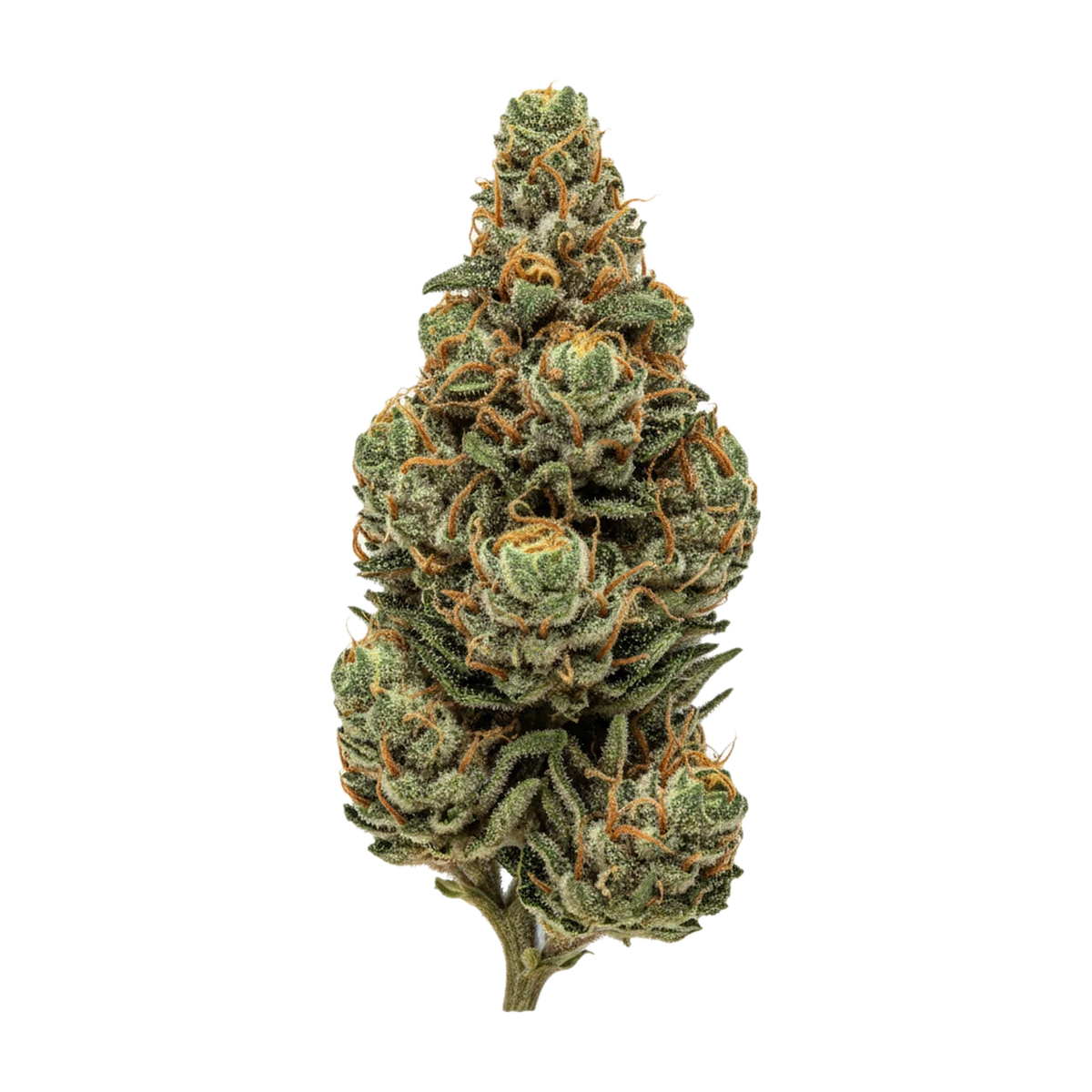 KI-generierte Illustration einer Cannabisblüte, zeigt nicht die tatsächliche Charge – Siggis WBLT 22/1 "Waldbeerblüte"