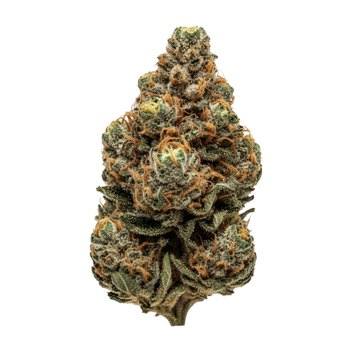 KI-generierte Illustration einer Cannabisblüte, zeigt nicht die tatsächliche Charge – Siggis WLDM 28/1 "Waldmeister"