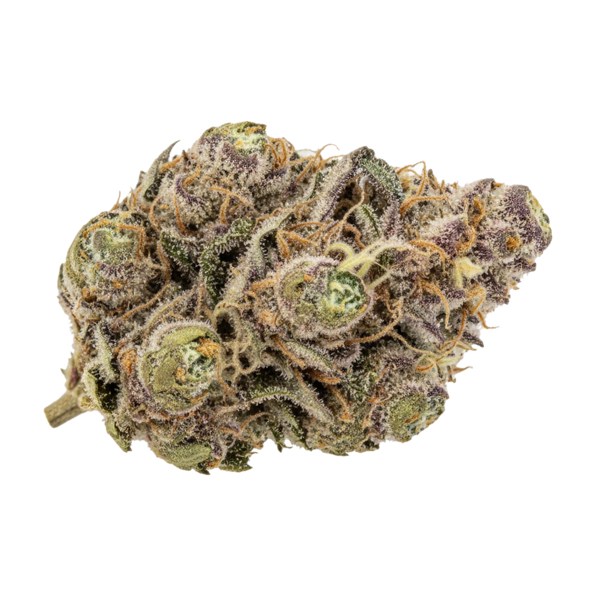 KI-generierte Illustration einer Cannabisblüte, zeigt nicht die tatsächliche Charge – enua 25/1 SJ "Splitter Jelato"