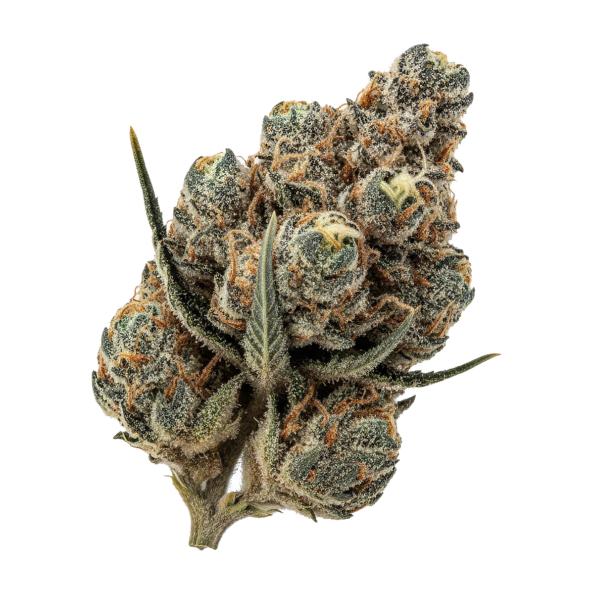 KI-generierte Illustration einer Cannabisblüte, zeigt nicht die tatsächliche Charge – enua 27/1 E85 CA "Wedding Cake x Project 4516"