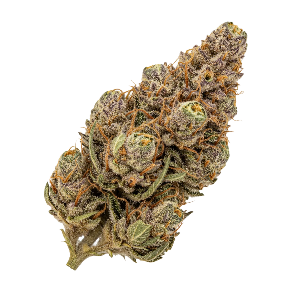 KI-generierte Illustration einer Cannabisblüte, zeigt nicht die tatsächliche Charge – enua PCP "Pineapple Cherry Punch"