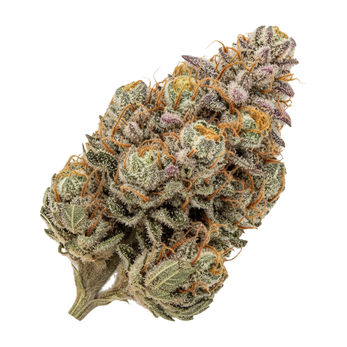 KI-generierte Illustration einer Cannabisblüte, zeigt nicht die tatsächliche Charge – enua BC "Best Cap"