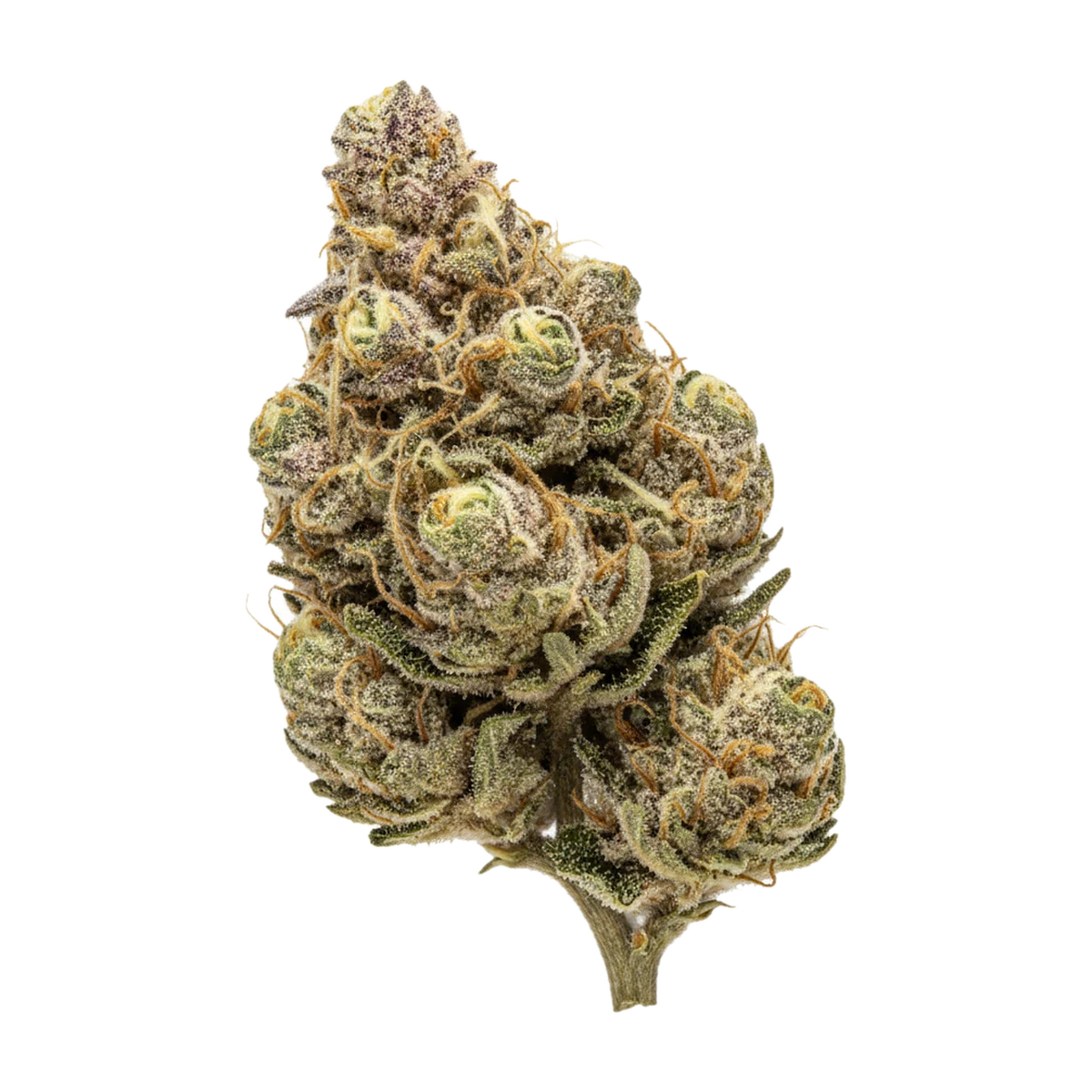 KI-generierte Illustration einer Cannabisblüte, zeigt nicht die tatsächliche Charge – enua 33/1 JGF "Jungle Fumes"