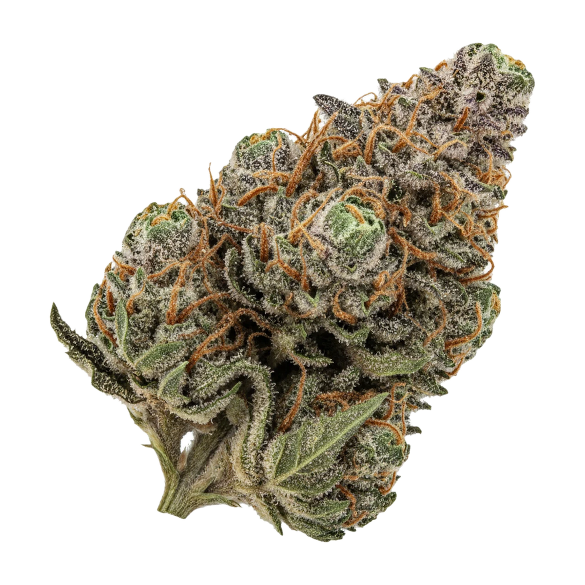KI-generierte Illustration einer Cannabisblüte, zeigt nicht die tatsächliche Charge – Growmotion 24/1 SBC "Super Buff Cherry"