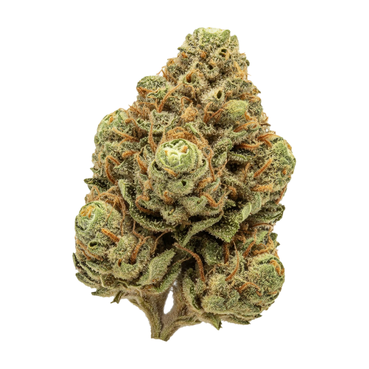 KI-generierte Illustration einer Cannabisblüte, zeigt nicht die tatsächliche Charge – HiDealz 21/1 MS PMM "Permanent Marker"