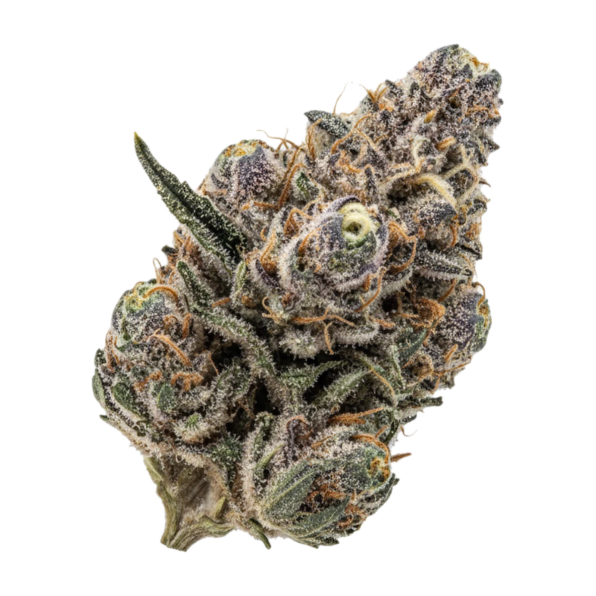 KI-generierte Illustration einer Cannabisblüte, zeigt nicht die tatsächliche Charge – Huala 25/1 KBK "Kebab Kush"
