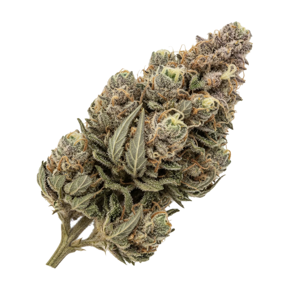 KI-generierte Illustration einer Cannabisblüte, zeigt nicht die tatsächliche Charge – Huala 25/1 TRM "Triangle Mints"