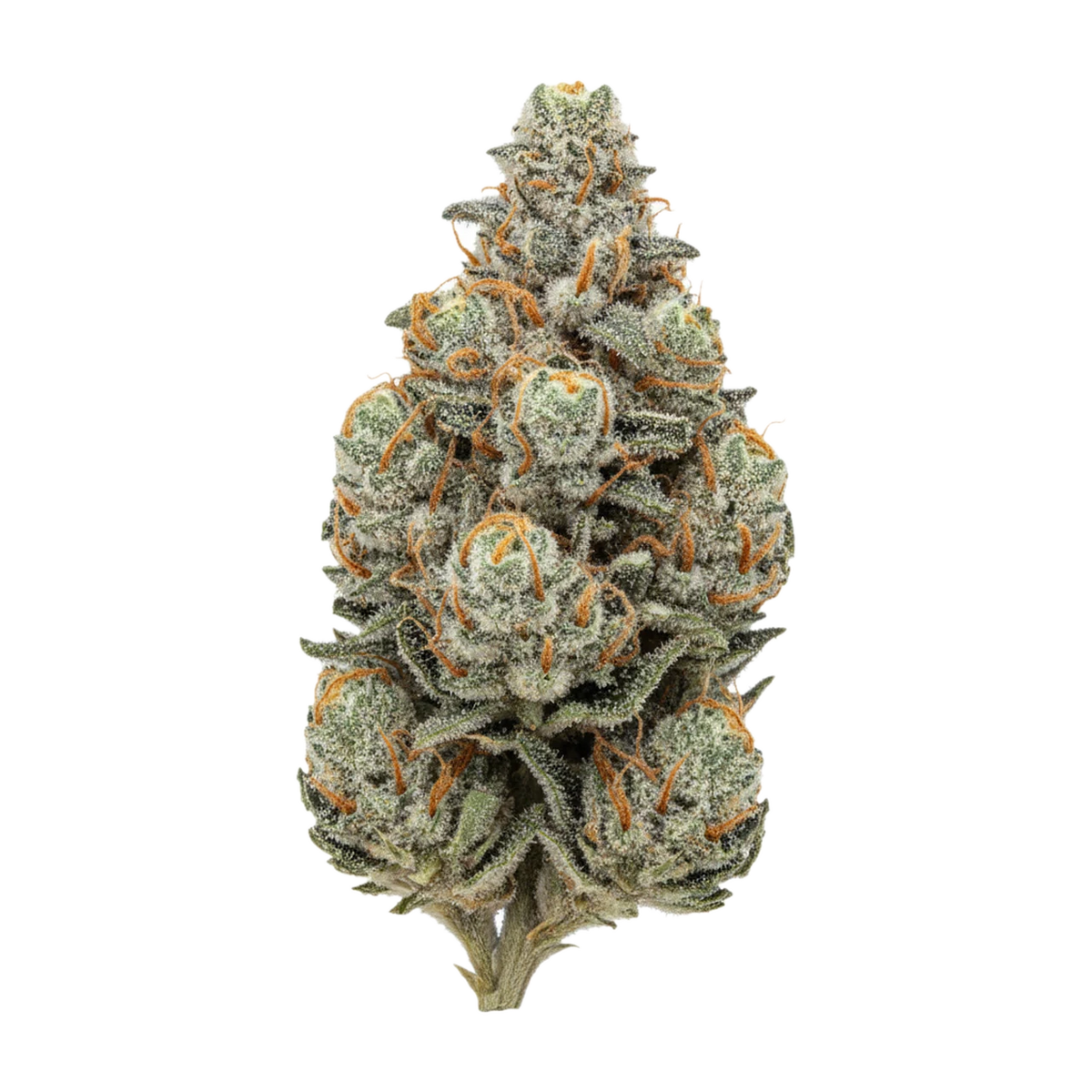 KI-generierte Illustration einer Cannabisblüte, zeigt nicht die tatsächliche Charge – Huala 27/1 OSB "Orange Sherbet"