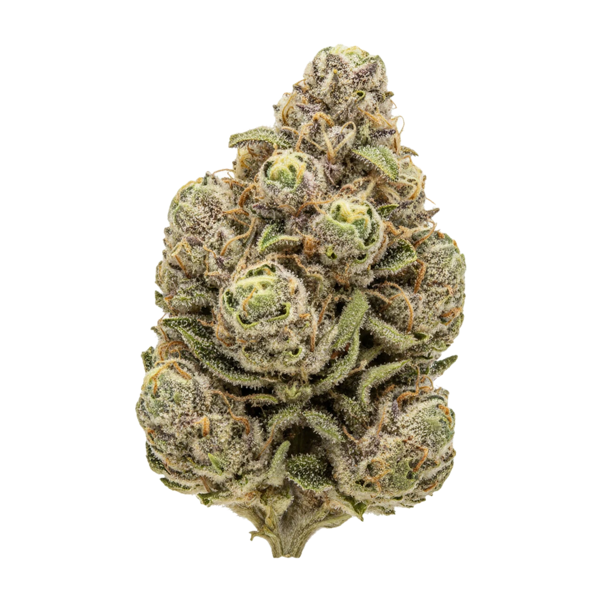 KI-generierte Illustration einer Cannabisblüte, zeigt nicht die tatsächliche Charge – Huala 27/1 PIG "Pink Gasoline"