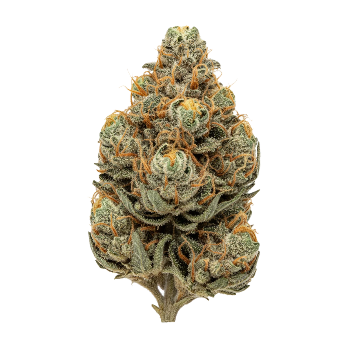 KI-generierte Illustration einer Cannabisblüte, zeigt nicht die tatsächliche Charge – IUVO 20/1 OC "Lazer Fuel"