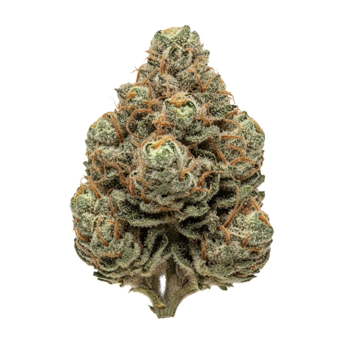 KI-generierte Illustration einer Cannabisblüte, zeigt nicht die tatsächliche Charge – IUVO 24/1 OC "Triangle Queen"
