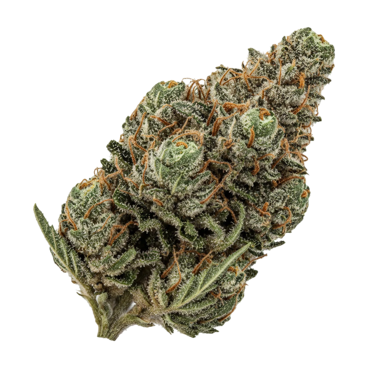 KI-generierte Illustration einer Cannabisblüte, zeigt nicht die tatsächliche Charge – Luana 24/1 Driver "Dosi Bow"