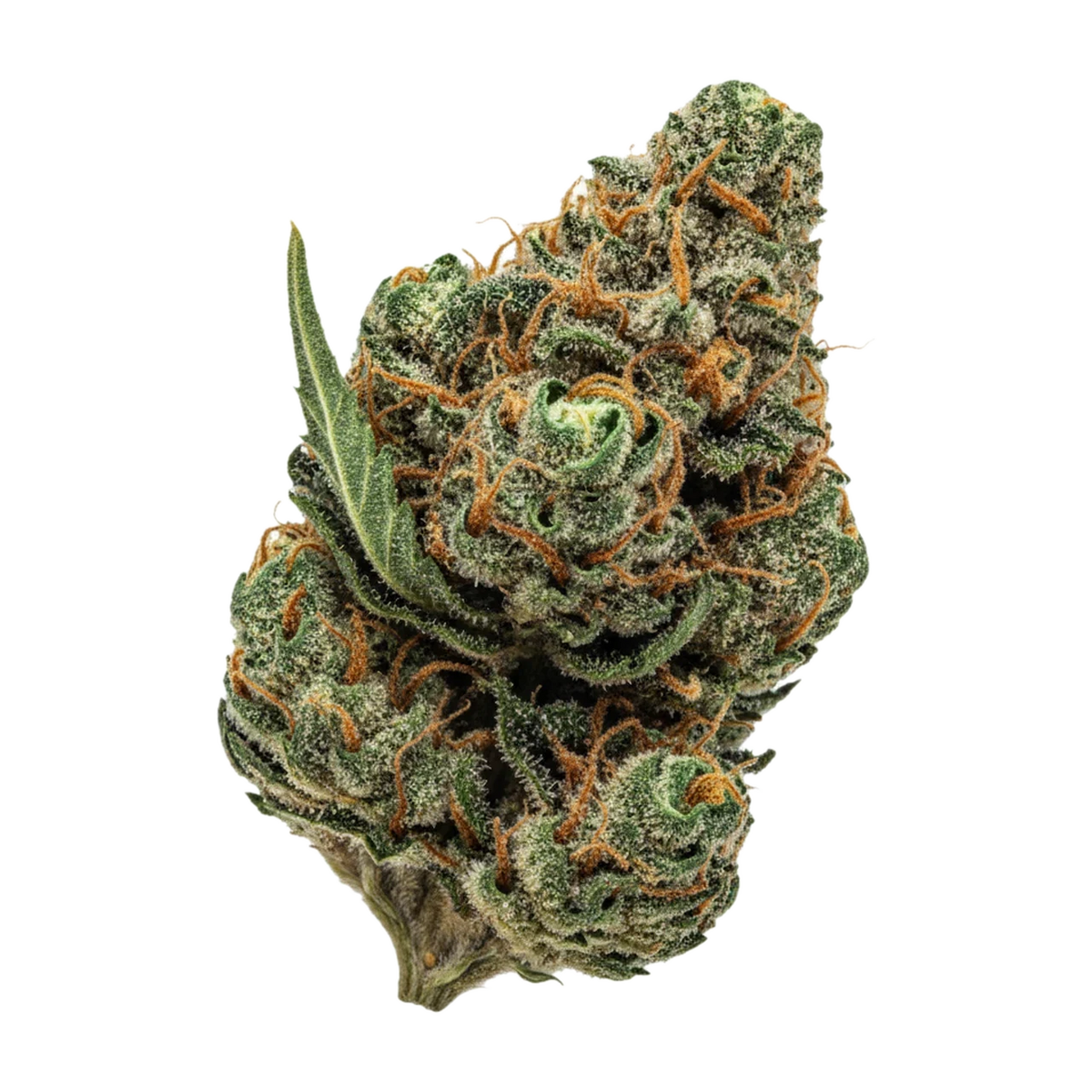 KI-generierte Illustration einer Cannabisblüte, zeigt nicht die tatsächliche Charge – Luana Rainbow "Papaya Bomb"