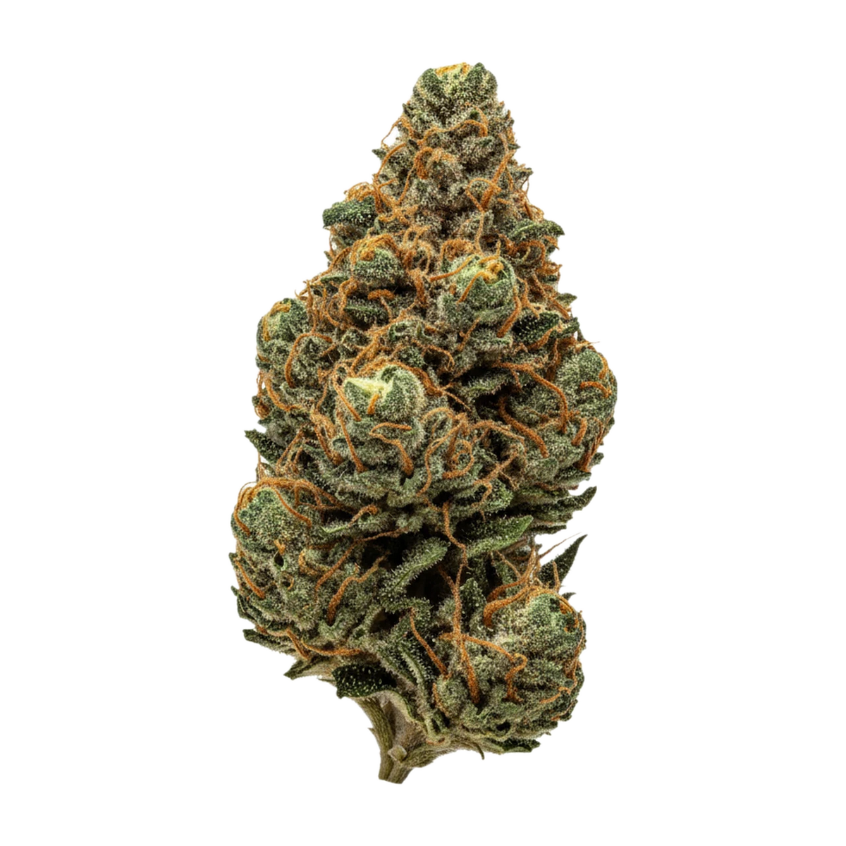 KI-generierte Illustration einer Cannabisblüte, zeigt nicht die tatsächliche Charge – Mediprocan African Ruby 20/1 "Mimosa"