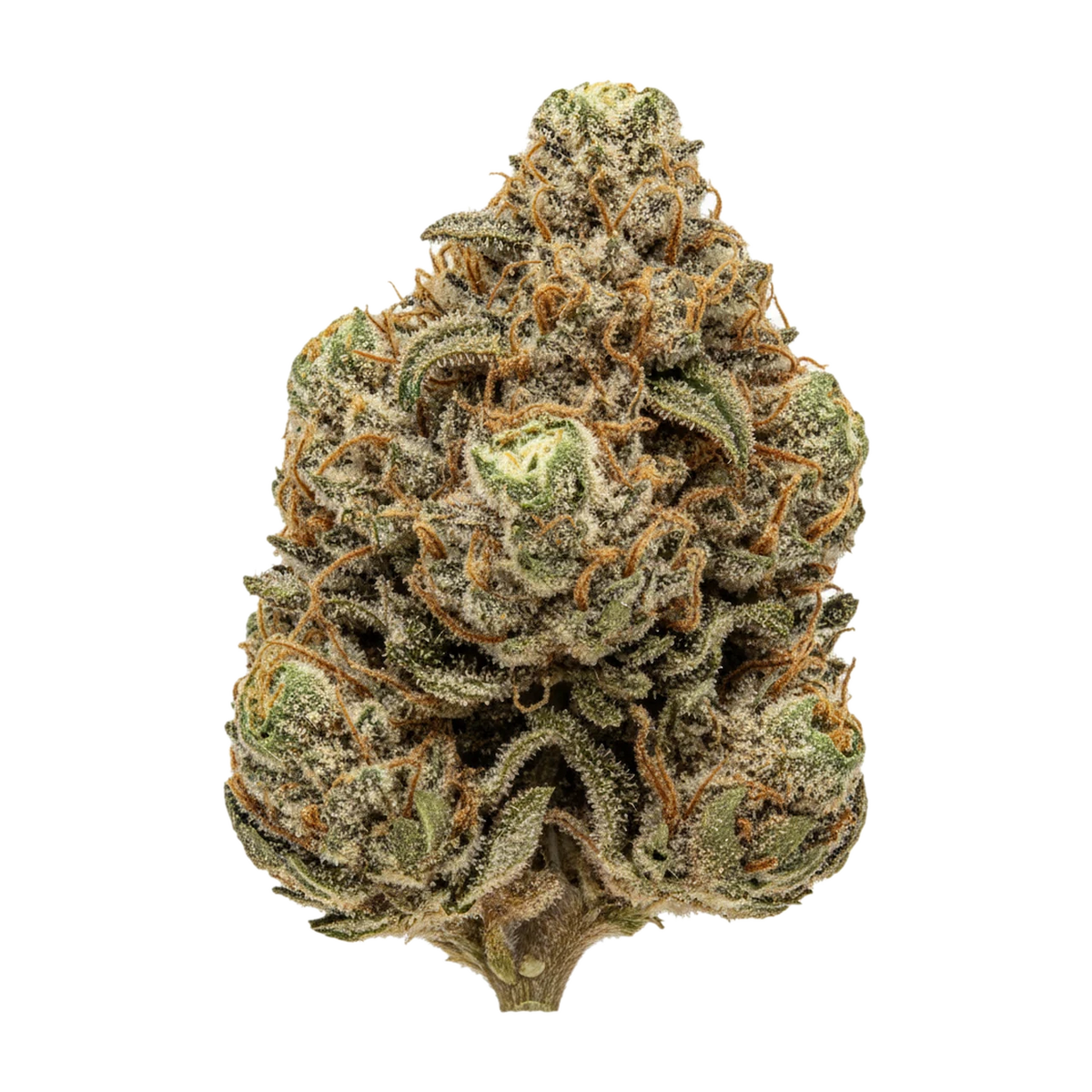 KI-generierte Illustration einer Cannabisblüte, zeigt nicht die tatsächliche Charge – Nice 33/1 LP "Lotus Punch"