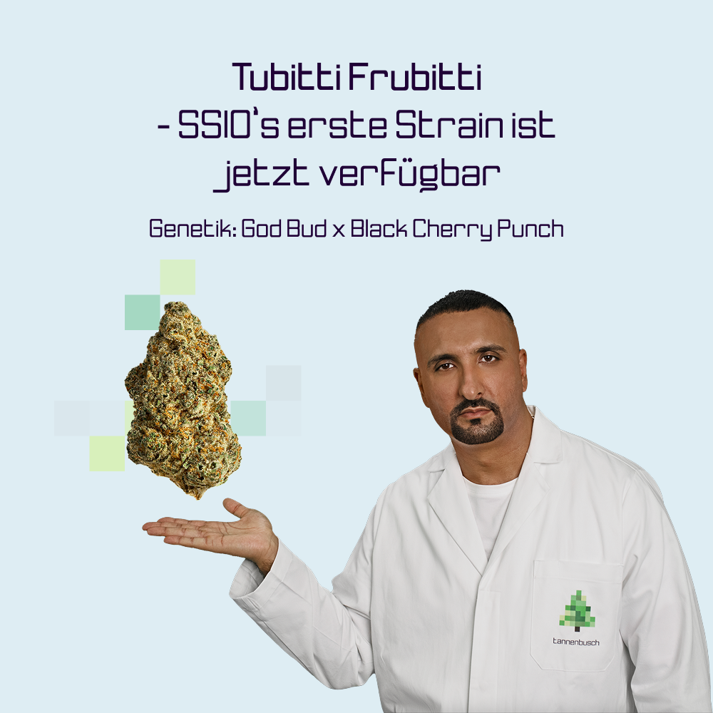 Tannenbusch 31/1 TF "Tubitti Frubitti"