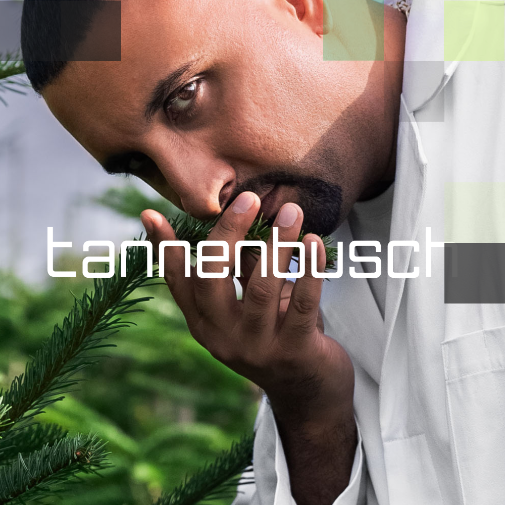 Tannenbusch 31/1 TF "Tubitti Frubitti"